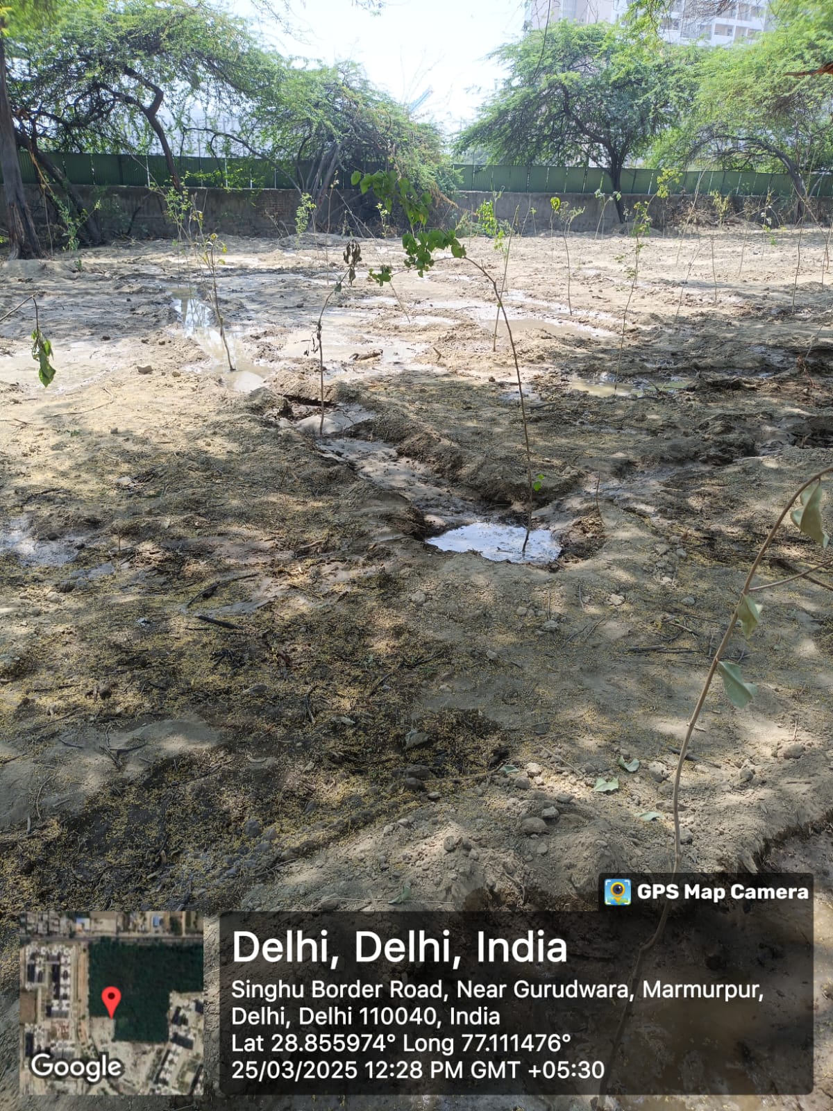 Assisted Natural Regeneration Artificial Regeneration